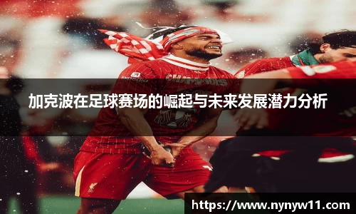 平博pinnacle体育