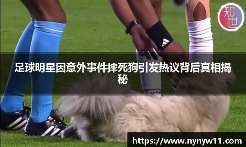 足球明星因意外事件摔死狗引发热议背后真相揭秘